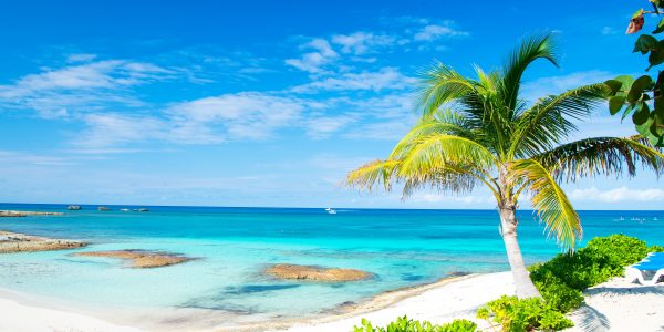Palm tree, blue sea, sky in Great Stirrup Cay, Bahamas. Tropical beach with white sand and turquoise water. Summer vacation, recreation, relax. Paradise, peace, romance. Travel, traveling, wanderlust